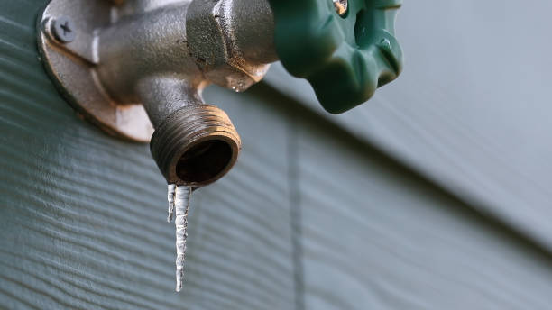 Best Plumbing Repair Near Me  in Pandora, OH