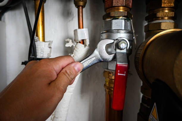Best Residential Plumbing Services  in Pandora, OH